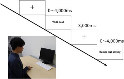 Examining the Effect of Adverbs and Onomatopoeia on Physical Movement